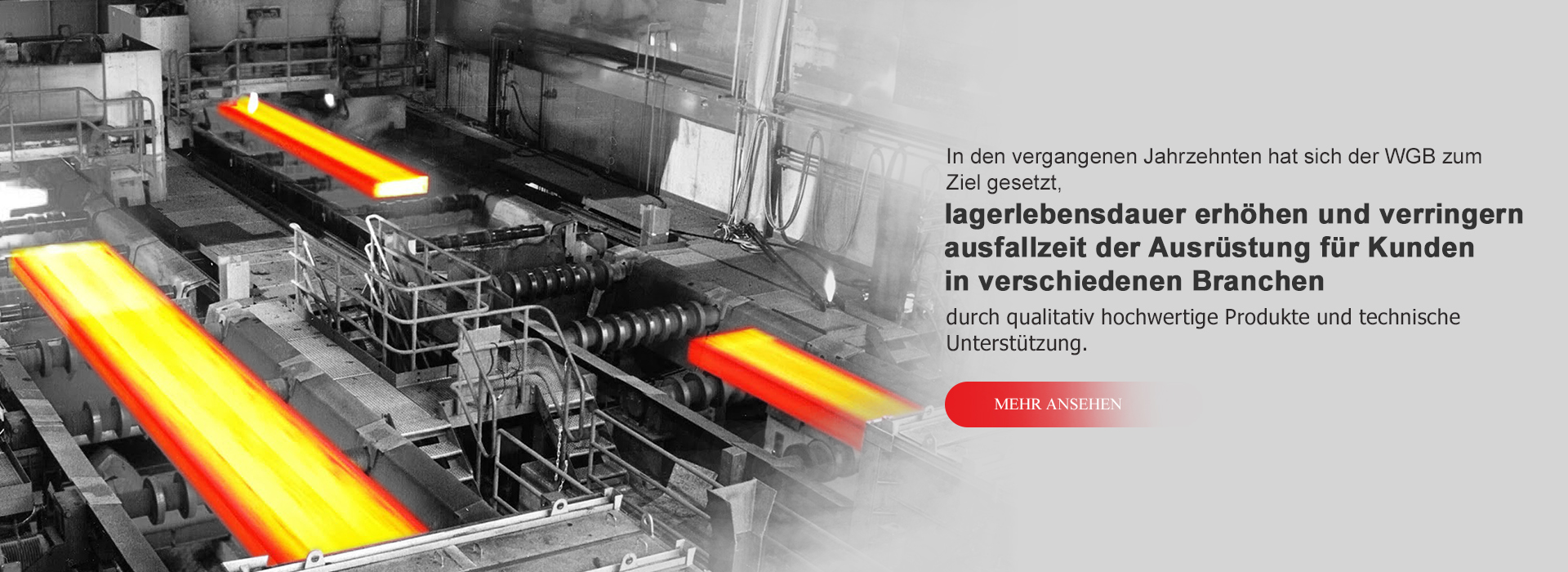 Spherical Roller Bearings workshop